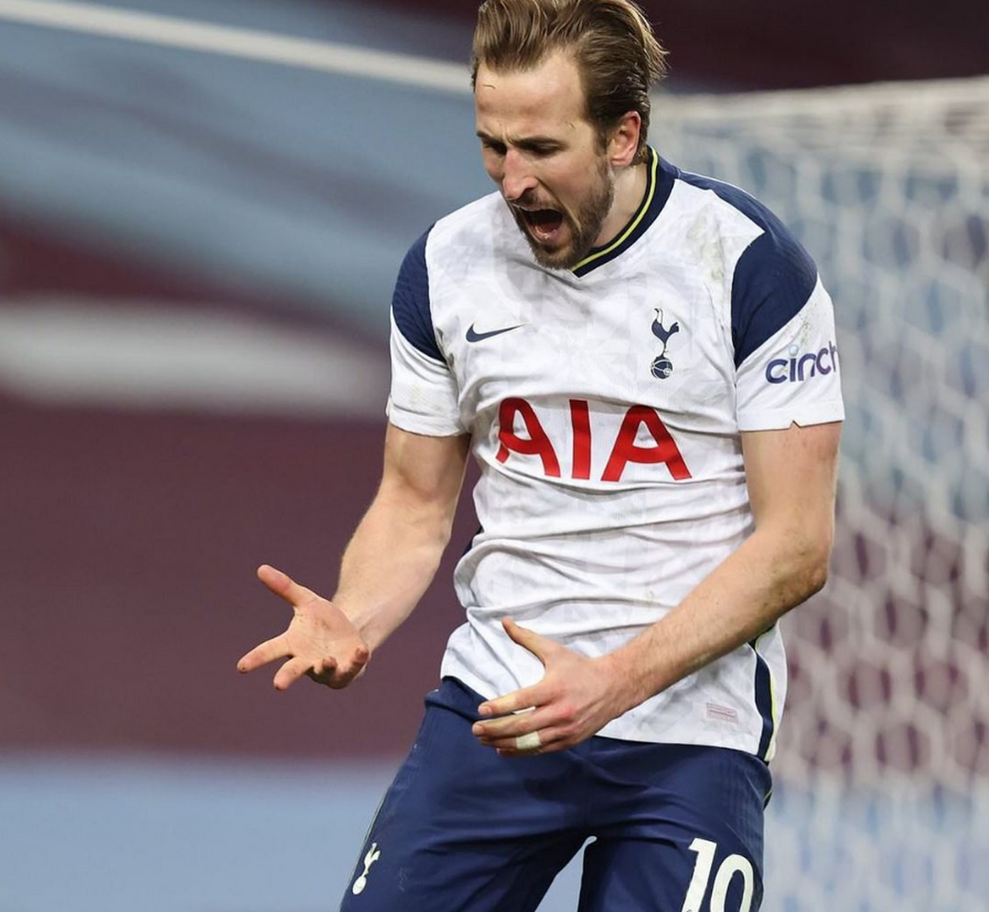 里昂足球俱乐部队徽